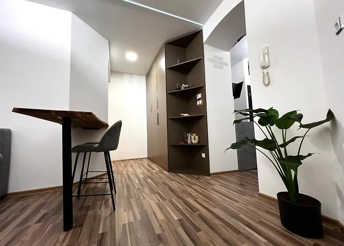 Palackeho Lobby Apartment